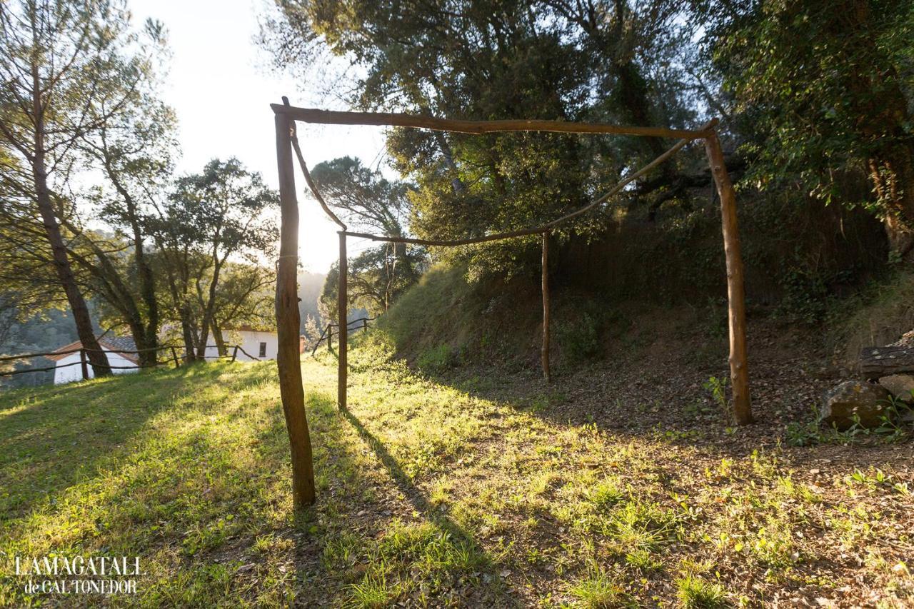 Country house L'amagatall De Cal Tonedor *