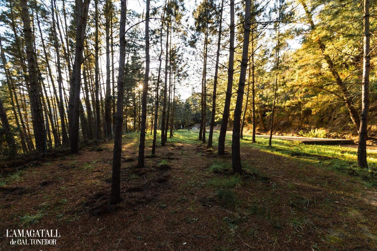 L'amagatall De Cal Tonedor Country house Vallgorguina